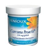 Fenioux Curcuma Proactif - 90 Gélules - 230 mg
