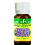 NaturEsoin Huile Essentielle de Lavande - 10 ml