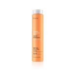 Erayba ABH Repair Shampooing 250ml
