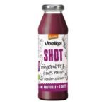 VOELKEL SHOT GINGEMBRE FRUITS ROUGE 280ML