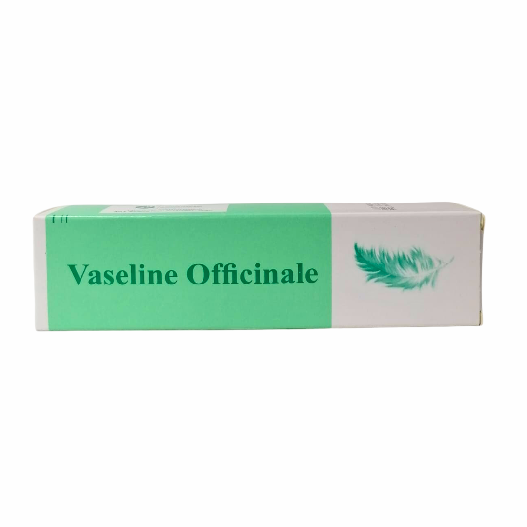 Vaseline-Officinale-Spimaco-tube-45g-1.png Vaseline Officinale tube 45g – Image 1