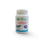 VERTU PLUS CARTILAGE DE REQUIN 90 GÉLULES