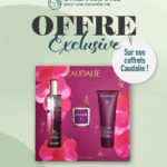 Coffret Thé de Vigne